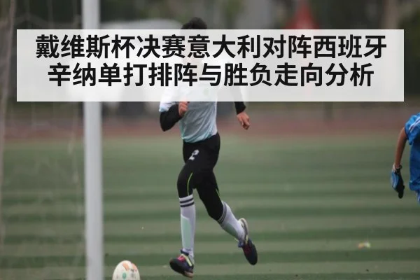 戴维斯杯决赛意大利对阵西班牙辛纳单打排阵与胜负走向分析